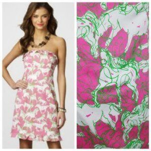 Lilly Pulitzer Pink and Green Mini Dress